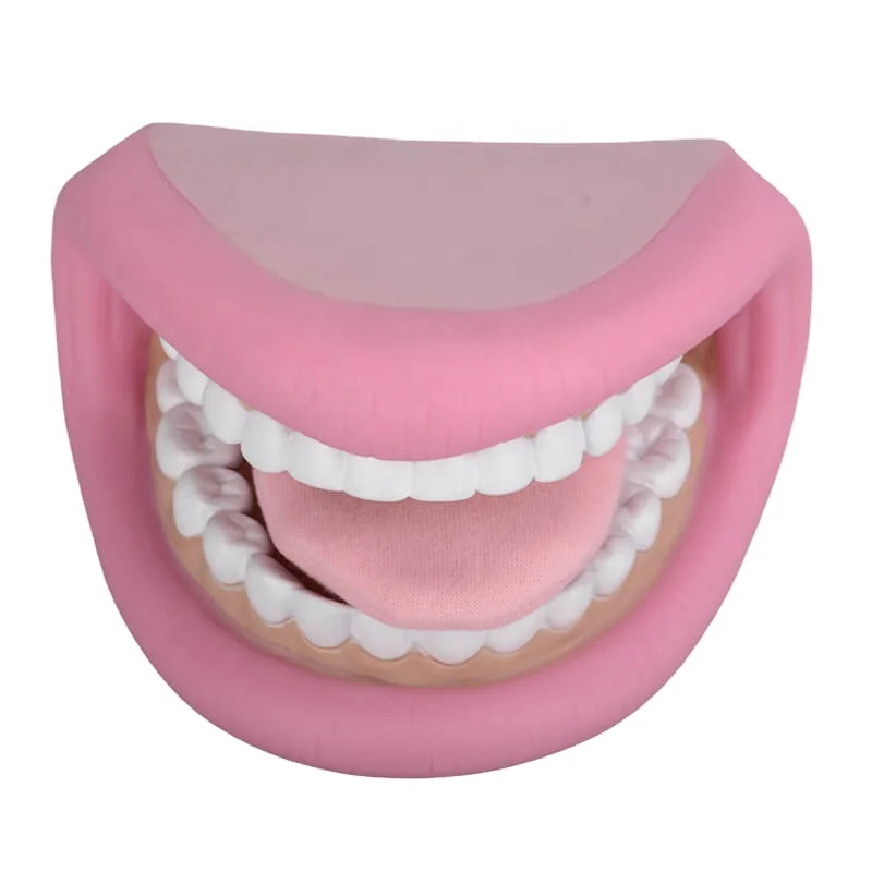Custom PVC Hand Puppet With Teeth Movable Tongue Include Toothbrush Dental Model Mouth Puppet