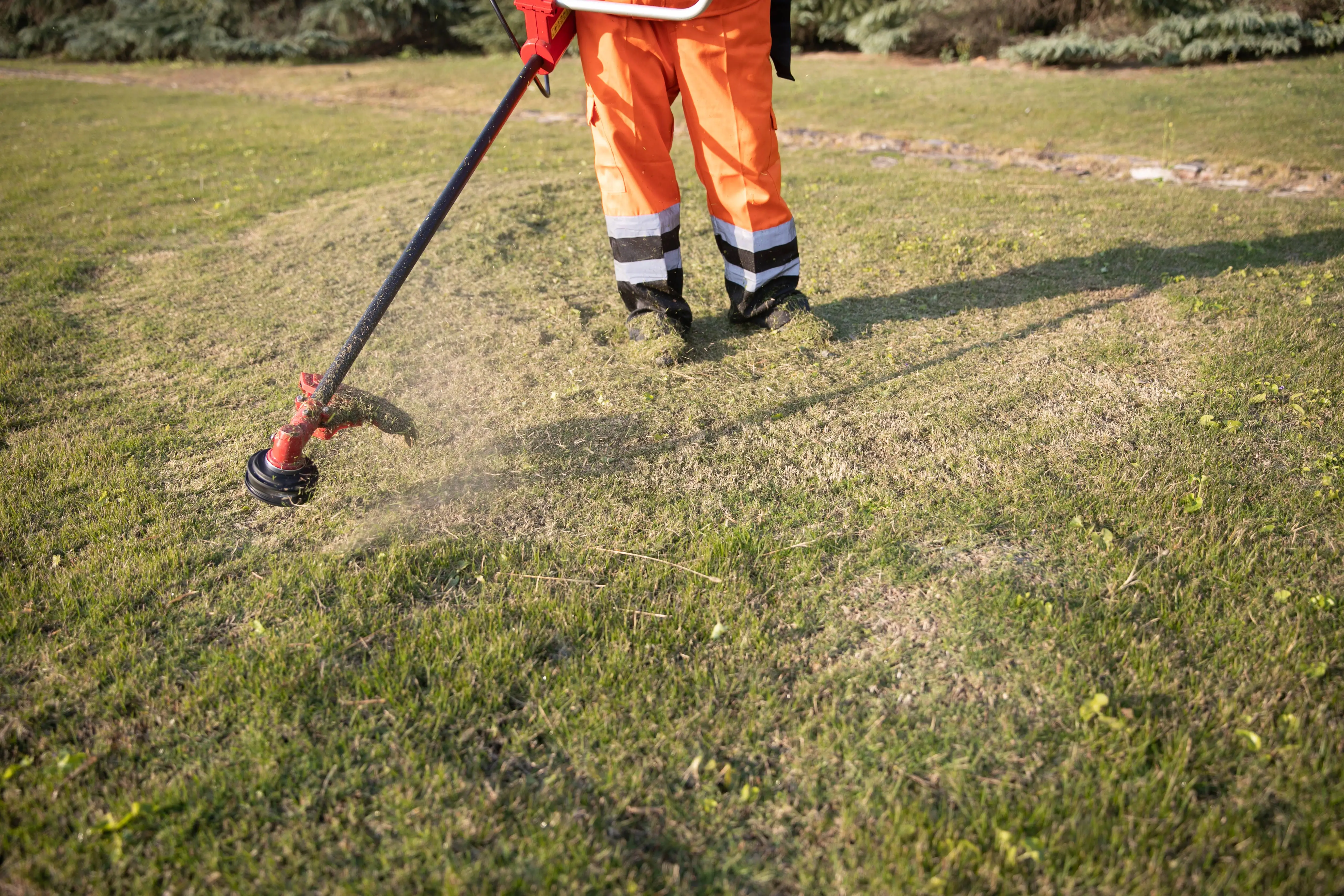 Strong Power Electric Grass Cutter New Energy Equipped With Brush-less Motor Garden Tool Professional Brush Cutter