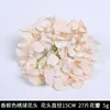 Cabeza y tallo de flor de hortensia de lana - Champagne