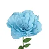 Blu senza supporto