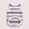 Gilet per animali domestici grigio chiaro