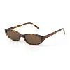 C6 Tortoise/Brown