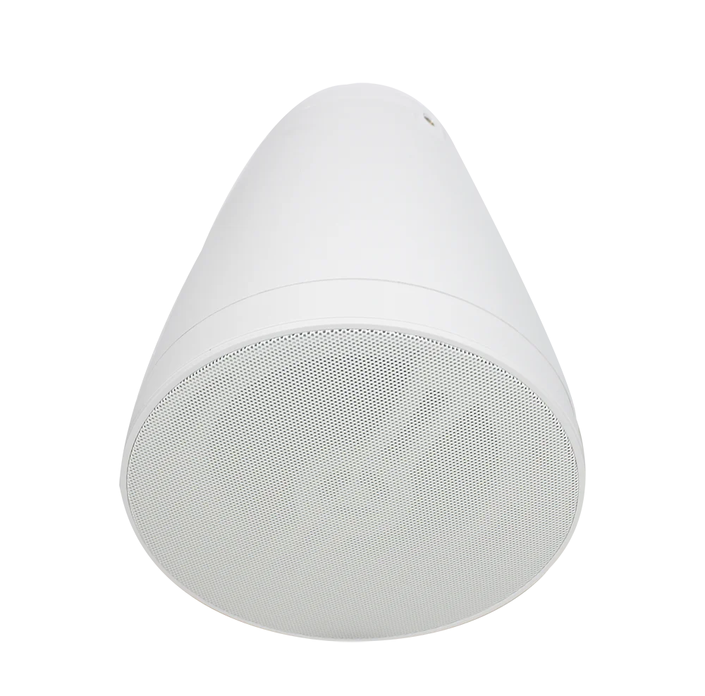 T High Quality 8ohm Ceiling Hanging Audio Player Wall
