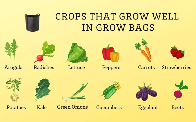 Size grow. Size grow