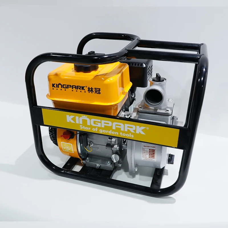 2 Inch 3 Inch 4 Inch Gasoline Engine Water Pump 2 Inch Irrigation Pump Hot Water Pump