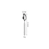 silver tea Spoon