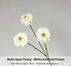 Peonia bianca con petali a strati