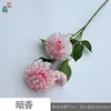 Dark Fragrance Y Light Pink