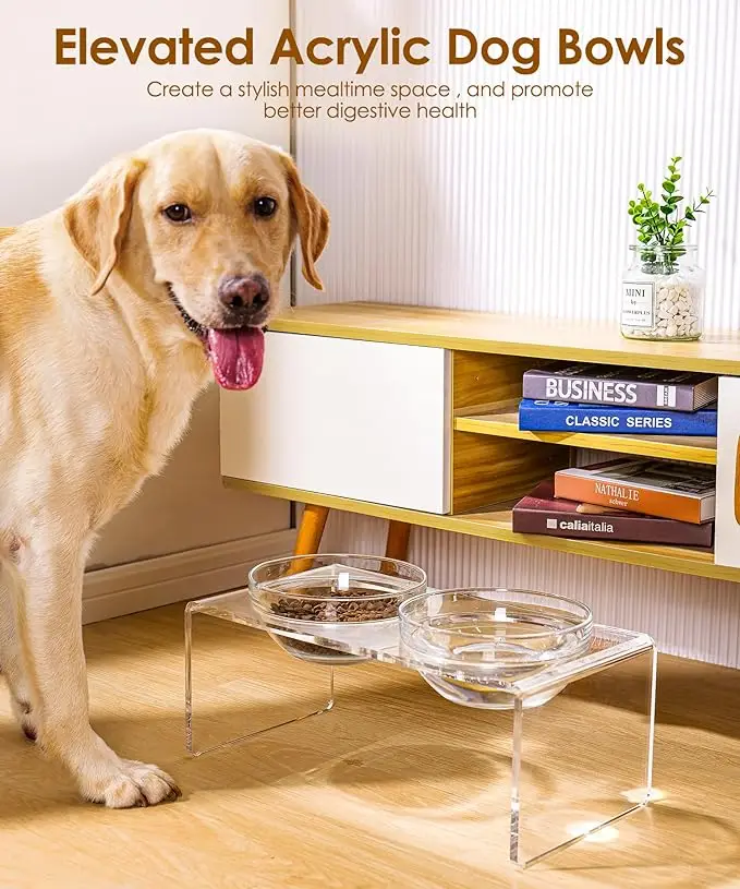 Acrylic Elevated Double Bowl Pet Feeder Elevated Stand for Organizing Dog  and Cat Food for Cats and Dogs