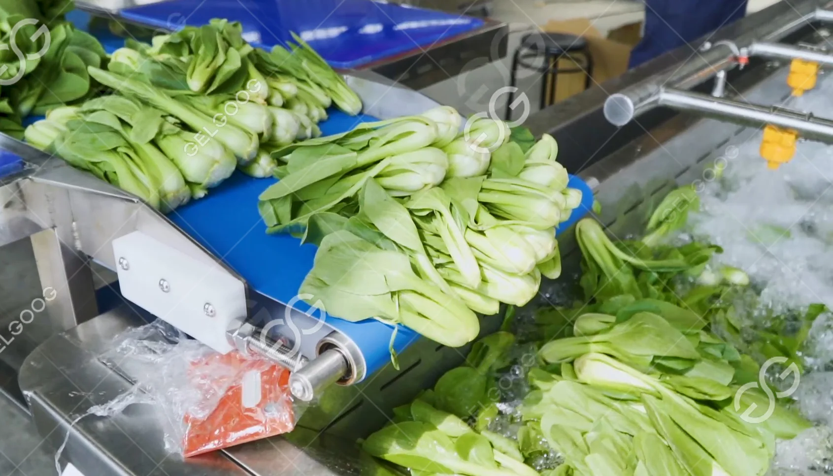 Commercial Clean Root Leafy Vegetable Asparagus Washing Equipment Line Vegetable Washing Peeling Machine
