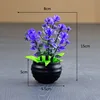 Viola [bacino nero]