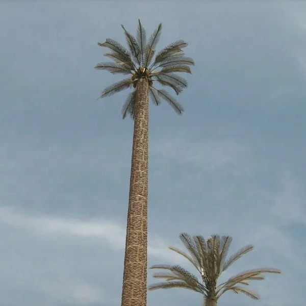 product-1-1 product-1-1