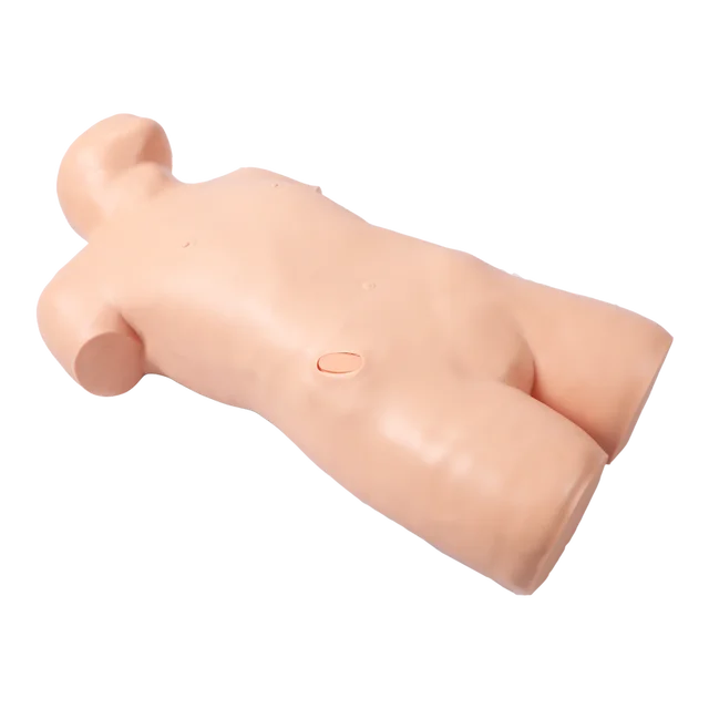 DARHMMY PVC Medical Science Manikin Durable Natural Size Mobile Abdominal Turbid Percussion and Laparotomy Training Model