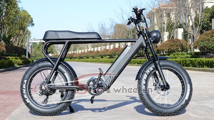 hidden electric motor for bicycle eMTB conversion kit Elevate allowing you commute in the city and ride in the mountains more freely Lithium Battery Hidden Electric Bike