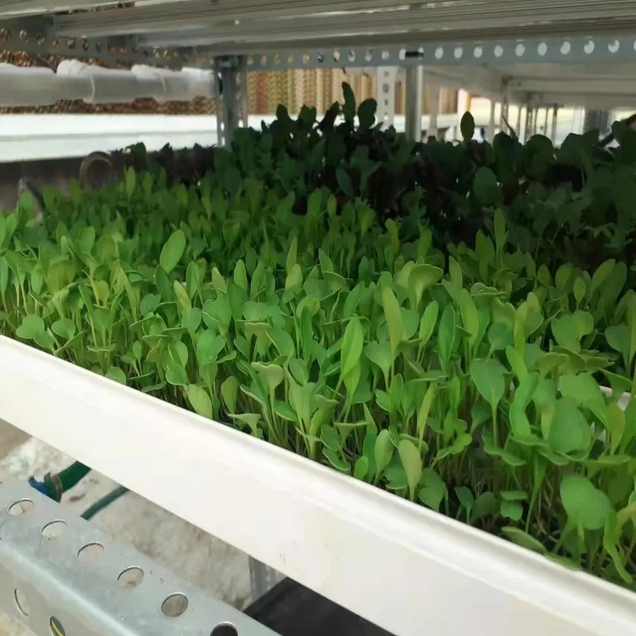 fodder system