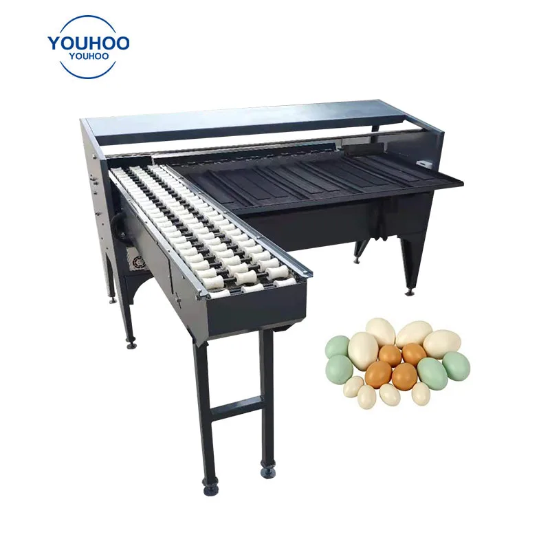 Industrial Small Egg Scale Classification Machine Egg Classifier Weight Grader Sorter Machine Cost