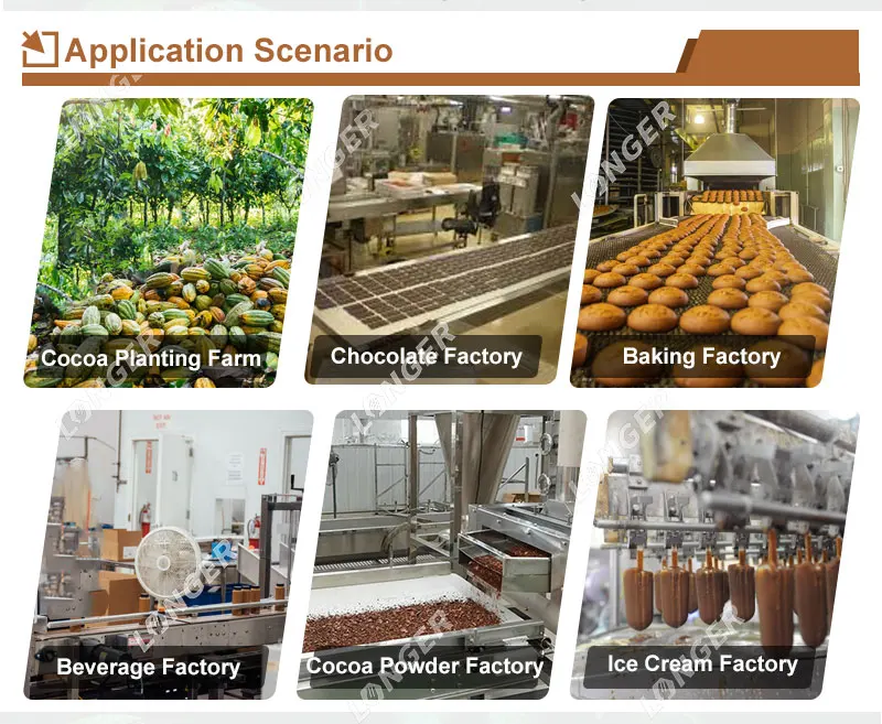 Full Automatic Cacao Nib And Butter Powder Production Machines Line