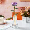 colorful Purple bottle [with cardboard and foam