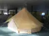 Beige Color