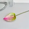 Rosa Verde