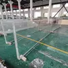 transparent