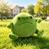 Rain Frog15cm/0.17kg/Spot goods without labels