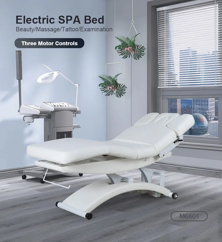 Modern Luxury Beauty Salon Wellness 3 Electric Motors Therapy Treatment