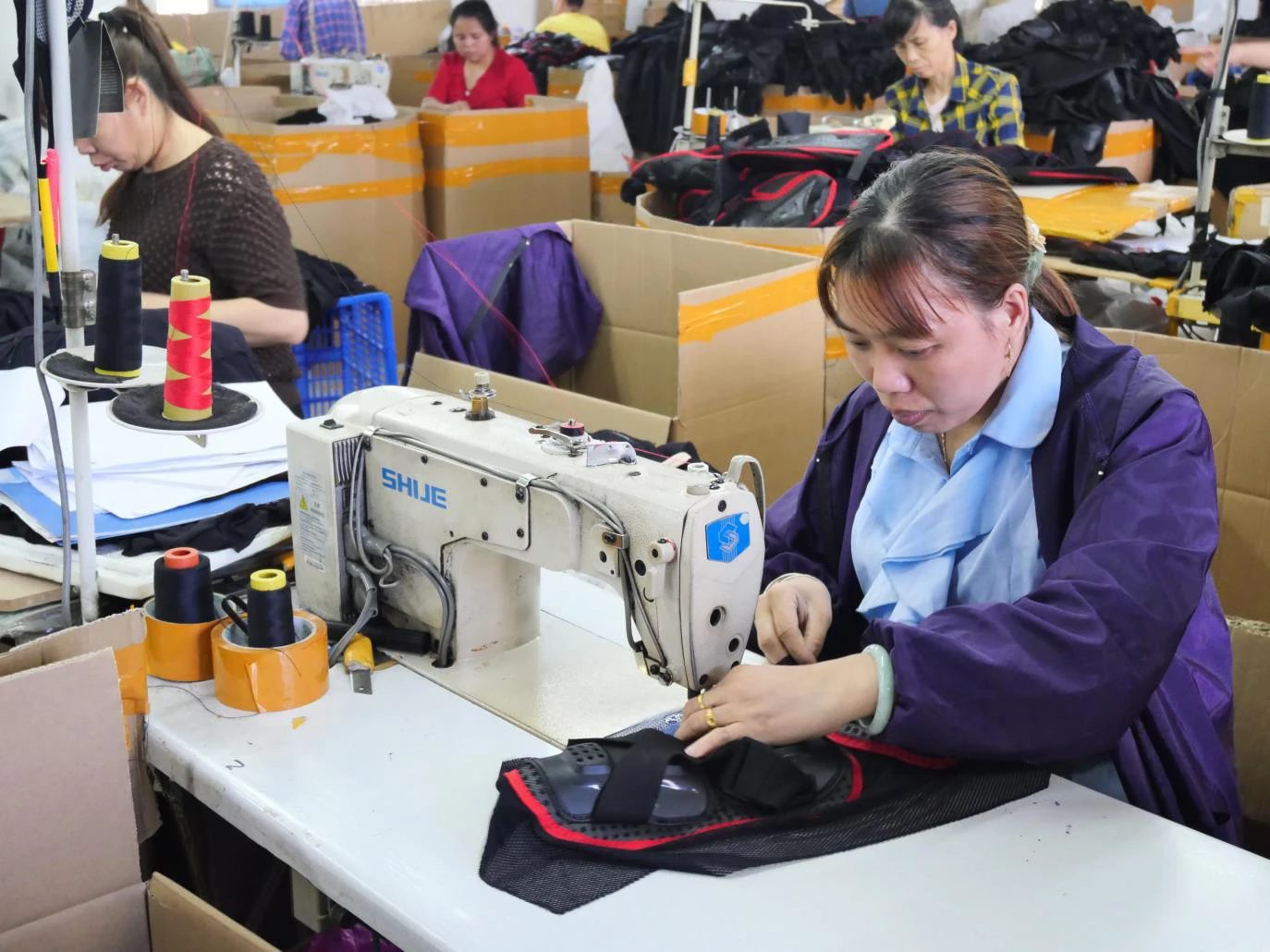 Foshan Cangmang Technology Co., Ltd.