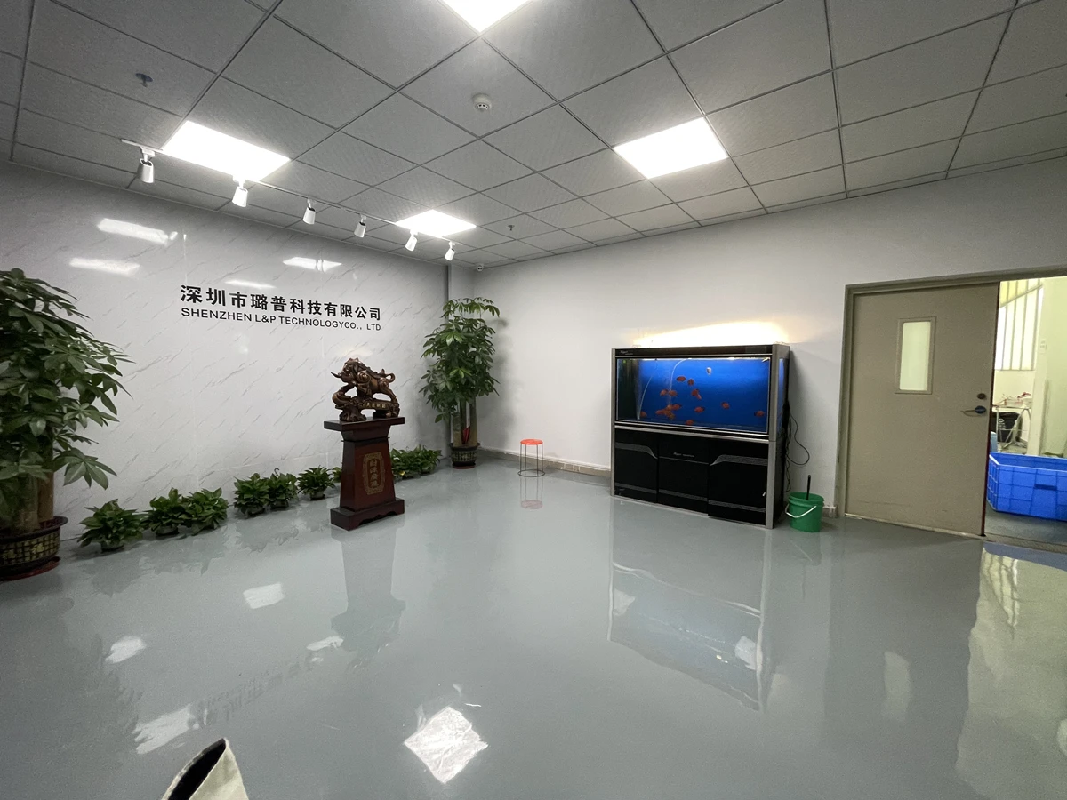 HK L&P TECHNOLOGY CO., LIMITED 1