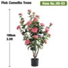 100cm(3.3ft) Pink Camellia Tree