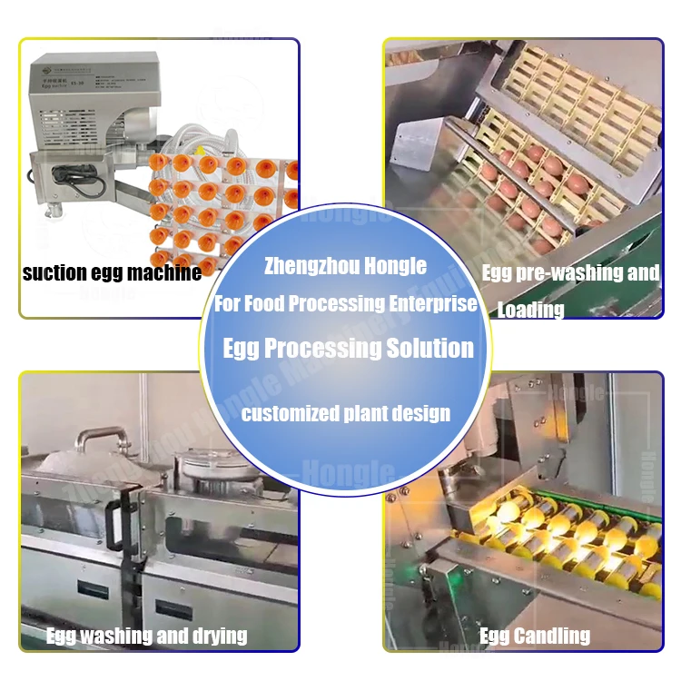 Multifunctional Automatic Egg Cleaner Classifier Grader Machine Small Egg Washing Grading Machine With Low Price supplier