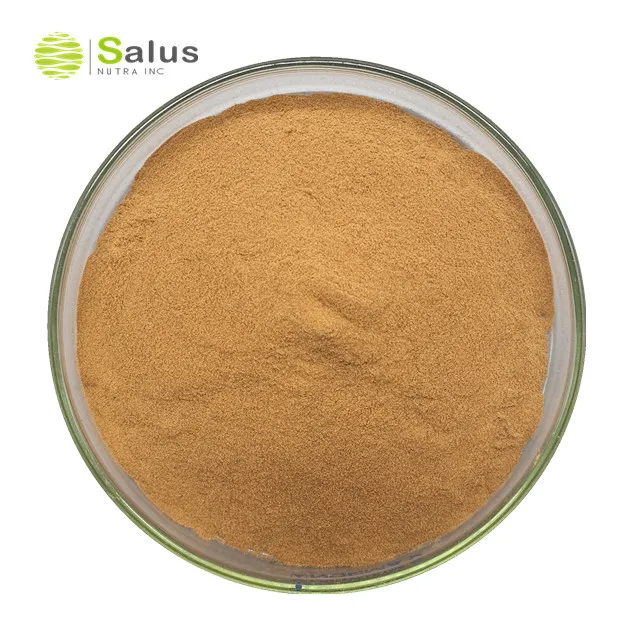 Экстракт грибов шишишика по лучшей цене