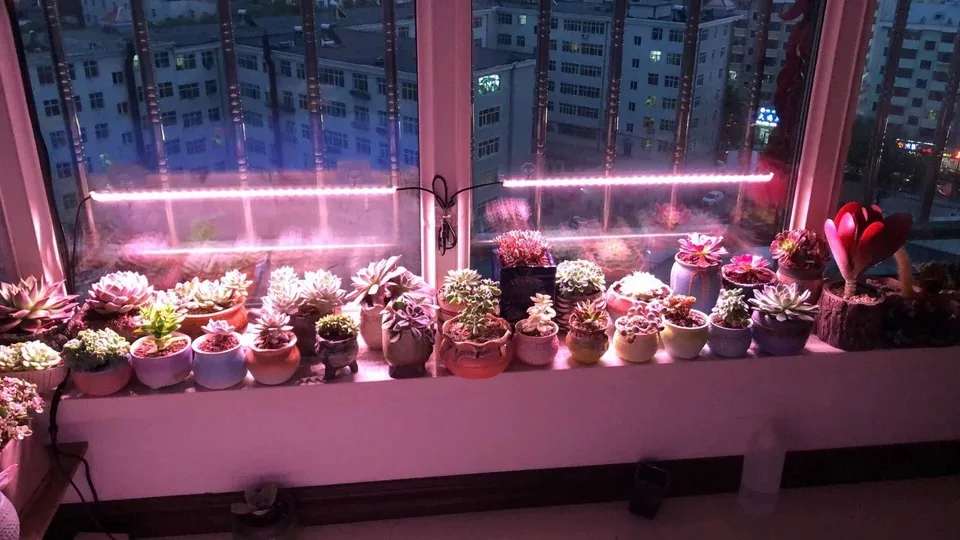 Remote Control Timingsolar Powered Grow Lights Full Spectrum Solar Led