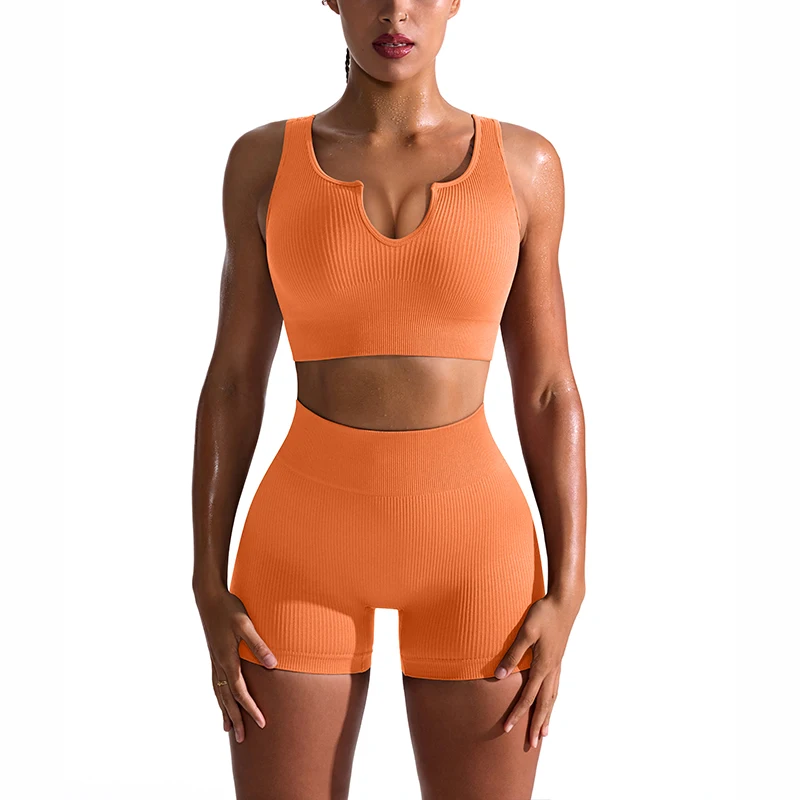 High Quality Seamless Yoga Wear Two Piece Set Women's Yoga Sports Bra