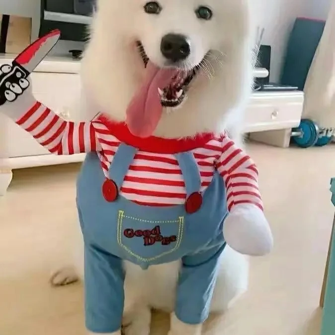 Hunde-Kostüm Chucky Mit Messer – Gruselig-lustiges Halloween-Outfit Für Kleine & Mittlere Hunde
