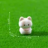 1 pink-collar kitten