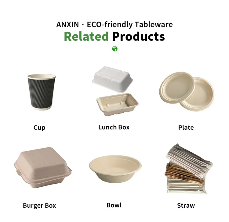 Compostable Sugarcane Bagasse Pulp Clamshell Lunch Box 9x6 Inch Eco ...