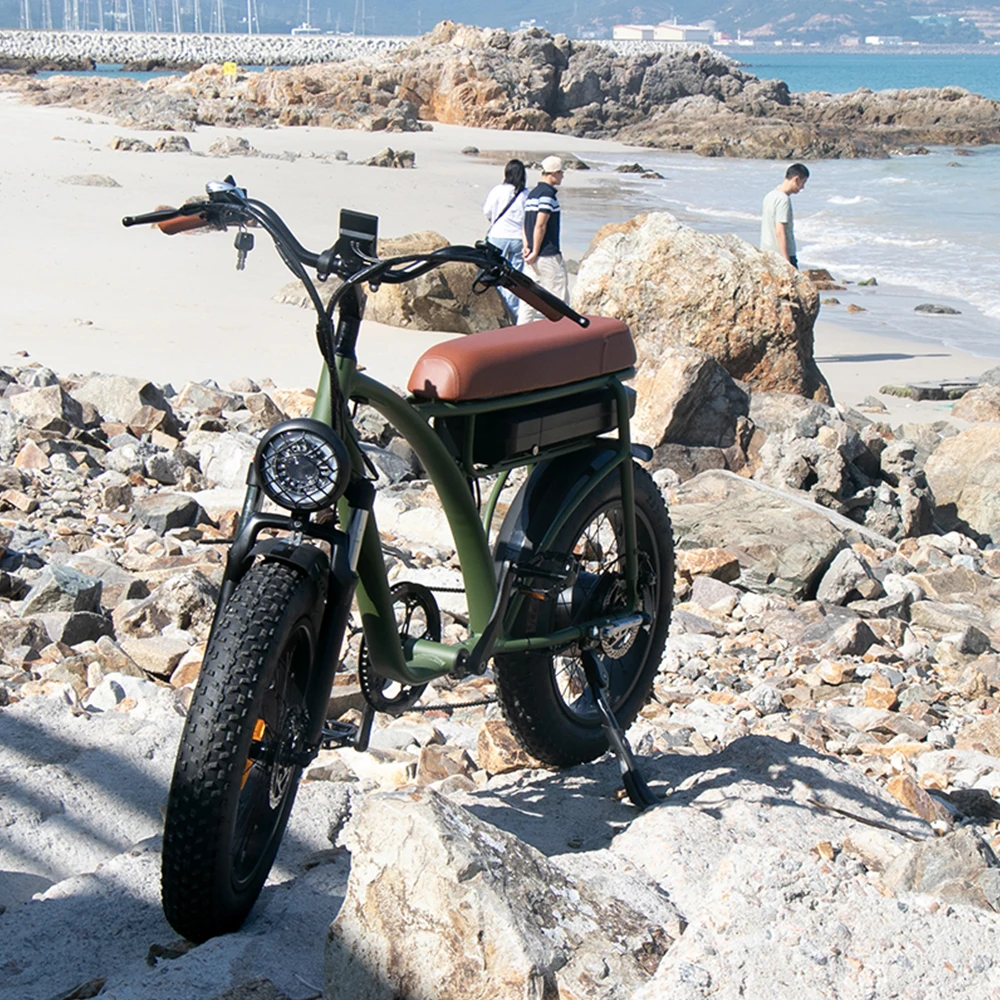 Fat Bike Sand Adult Banana Bike Fast Fun Electric Ride