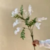 One white one