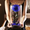 Blue YSH-10-1/blue