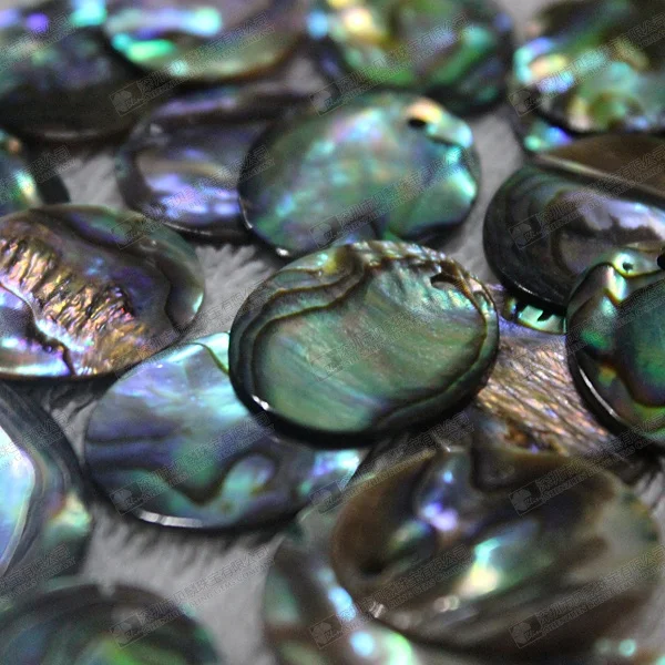 Natural Abalone Shell Discs Wholesale