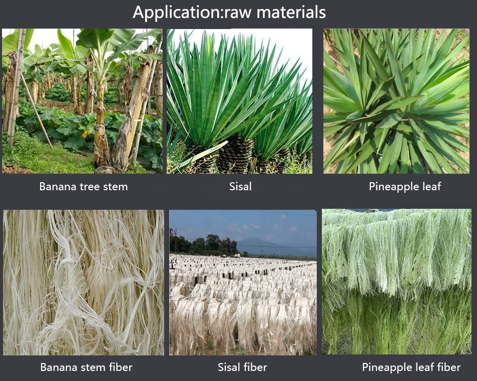 Automatic Banana Tree Stem Fiber Extracting Machine Sisal Fiber Decorticator Machine Pineapple Leaf Fiber Extractor Machine
