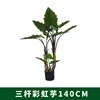 New 3-pole simulated rainbow taro 140CM