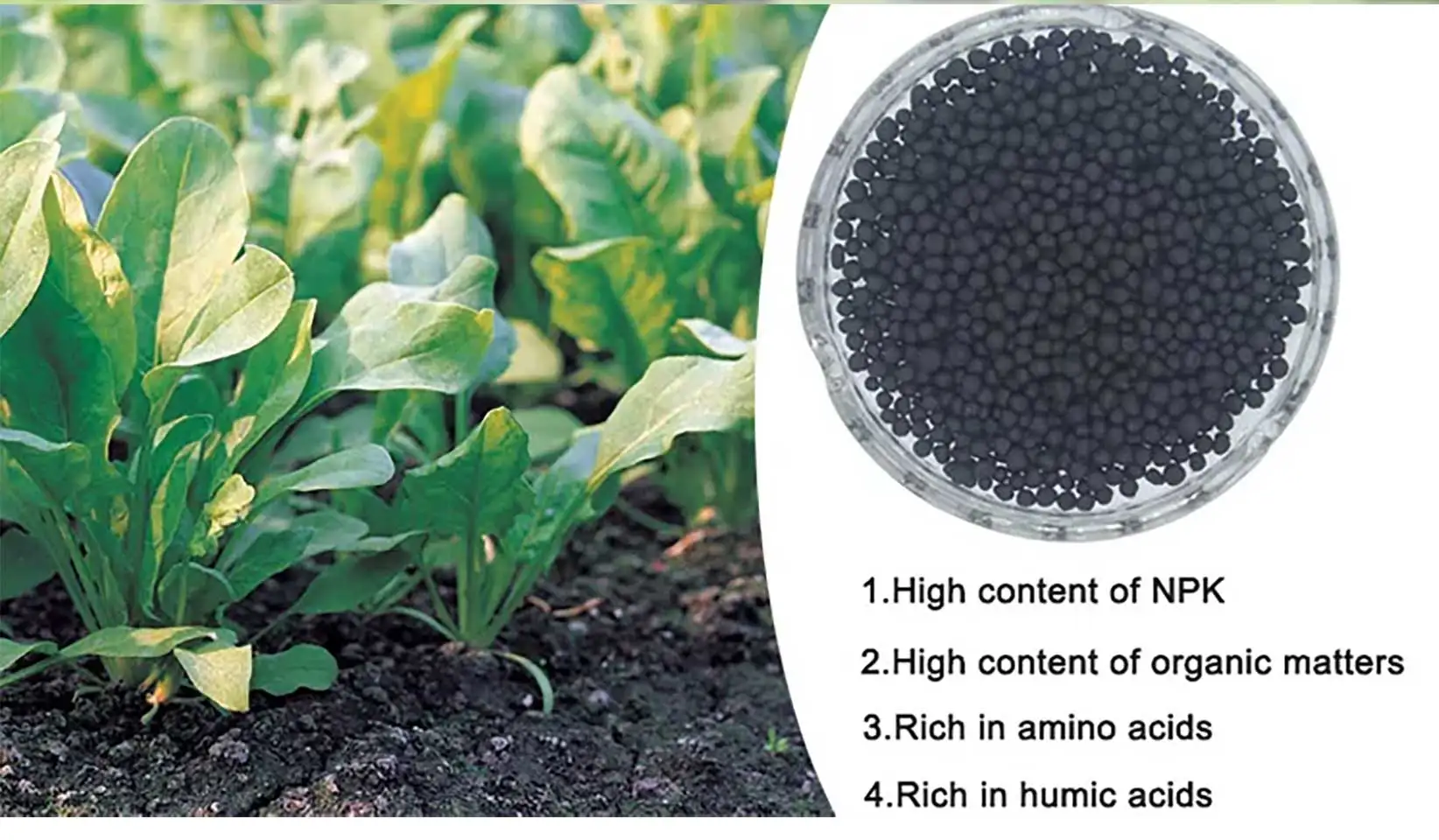 TPS NUTRIENTS Urea Fertilizer For Plants, 15-0-0 Balanced Nitrogen For Vibrant Green Growth, Liquid Plant Food 8 Oz (250mL