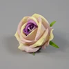 Violet color