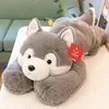 Husky