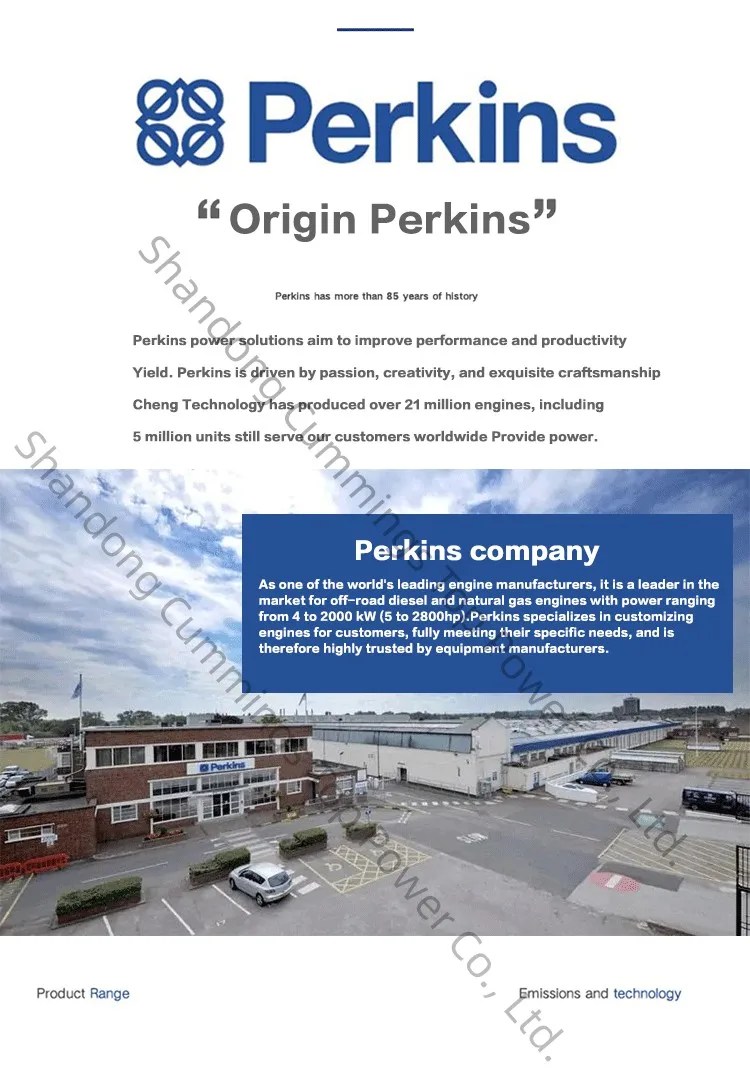 Thermo King Type Reefer Generator Popular in Netherlands with Good Price