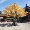 Arbre doré