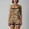 tigre