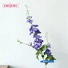 #5 blue  purple